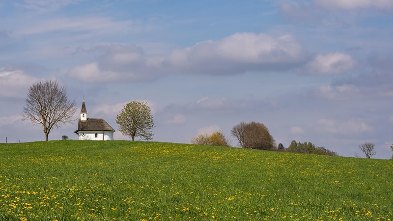 Tranquil Meadows