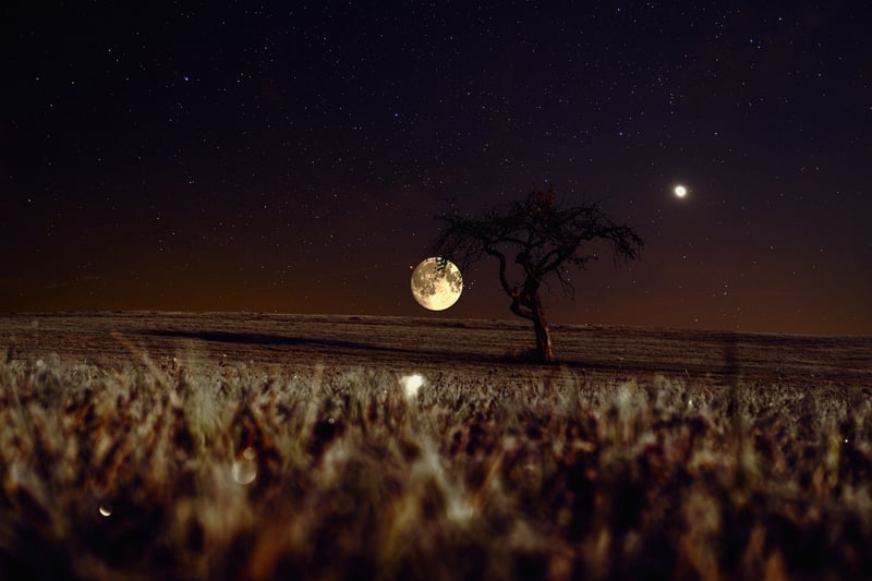 Mystical Moonlight
