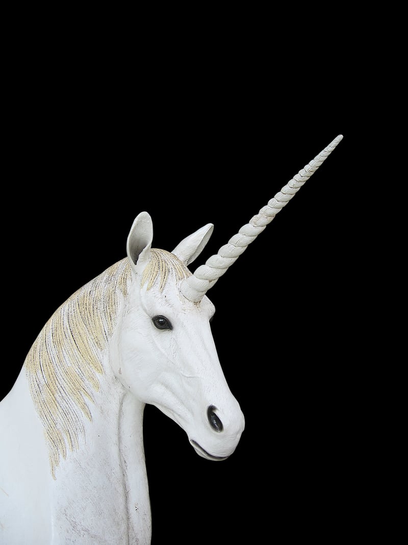 Unicorn Veil